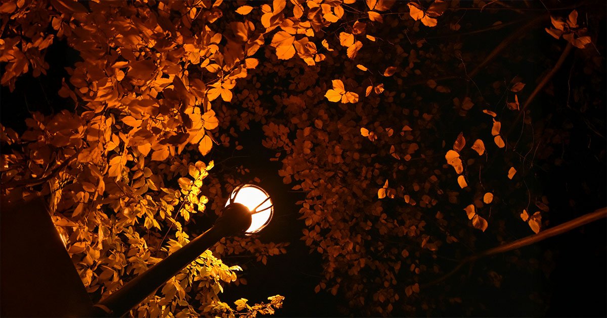 herfst slaapritme