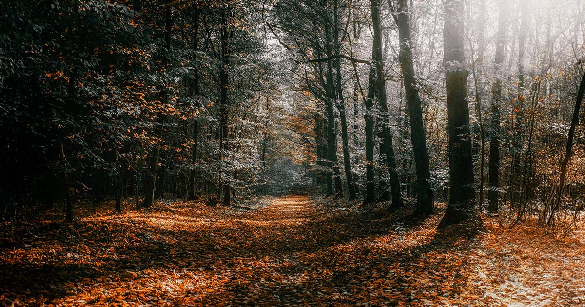 herfstgeuren en essentiele olien